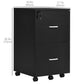 Vinsetto Locking File Chest: 2-Drawer Wooden Cabinet on Wheels for Secure Home Office & Study Organization, Black | The Comfy Couch Canada