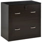 Vinsetto Secure Vertical File: 2 Locking Drawers with Hanging Rails for A4 Home Office Document Organization, Espresso | The Comfy Couch Canada
