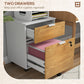 HOMCOM Small Filing Cabinet 2 Drawers Lockable Office Storage Hanging Bars A4 Legal Letter White Nature Wood Compact | The Comfy Couch Canada