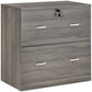 Vinsetto Secure Vertical File: 2 Locking Drawers with Hanging Rails for A4 Home Office Documents Organization, Grey | The Comfy Couch Canada