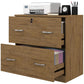 Vinsetto 2 Drawer File Cabinet with Lock, Office Filing Cabinet, Hanging Bar for Letter Size, Home Office, Light Brown | The Comfy Couch Canada