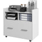 Vinsetto Rolling File Cabinet with Drawer Adjustable Bar for Letter A4 Legal Size White Mobile Office Organizer | The Comfy Couch Canada