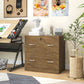 Vinsetto 2 Drawer File Cabinet with Lock, Office Filing Cabinet, Hanging Bar for Letter Size, Home Office, Light Brown | The Comfy Couch Canada