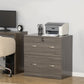 Vinsetto Secure Vertical File: 2 Locking Drawers with Hanging Rails for A4 Home Office Documents Organization, Grey | The Comfy Couch Canada