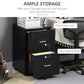 Vinsetto Locking File Chest: 2-Drawer Wooden Cabinet on Wheels for Secure Home Office & Study Organization, Black | The Comfy Couch Canada